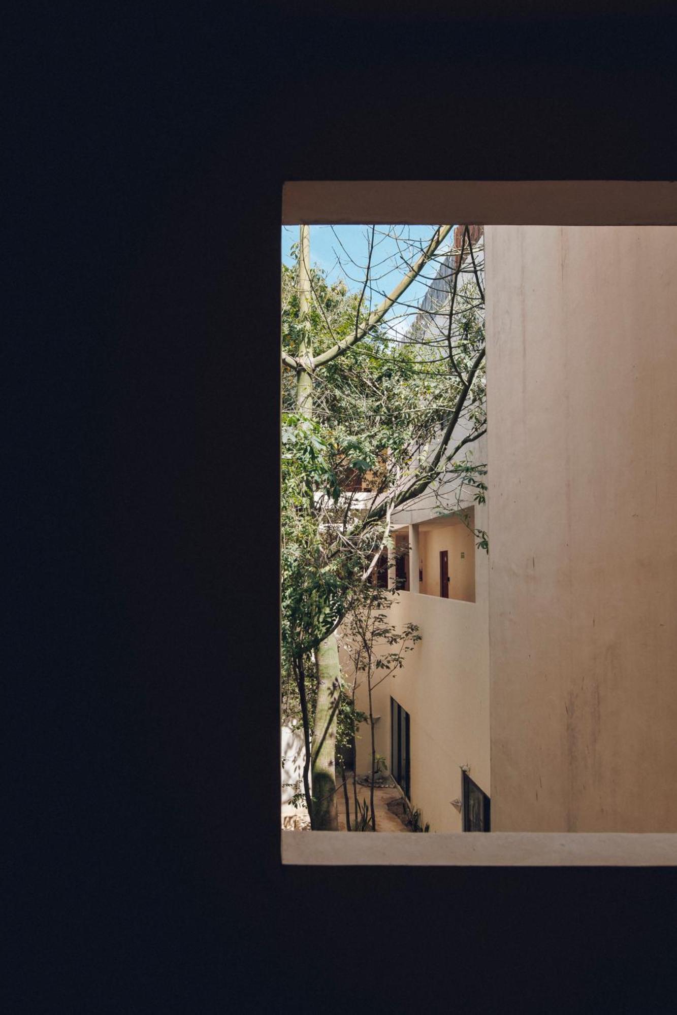 2 Bikes Free Exlusive Building Close To The Sea トゥルム エクステリア 写真