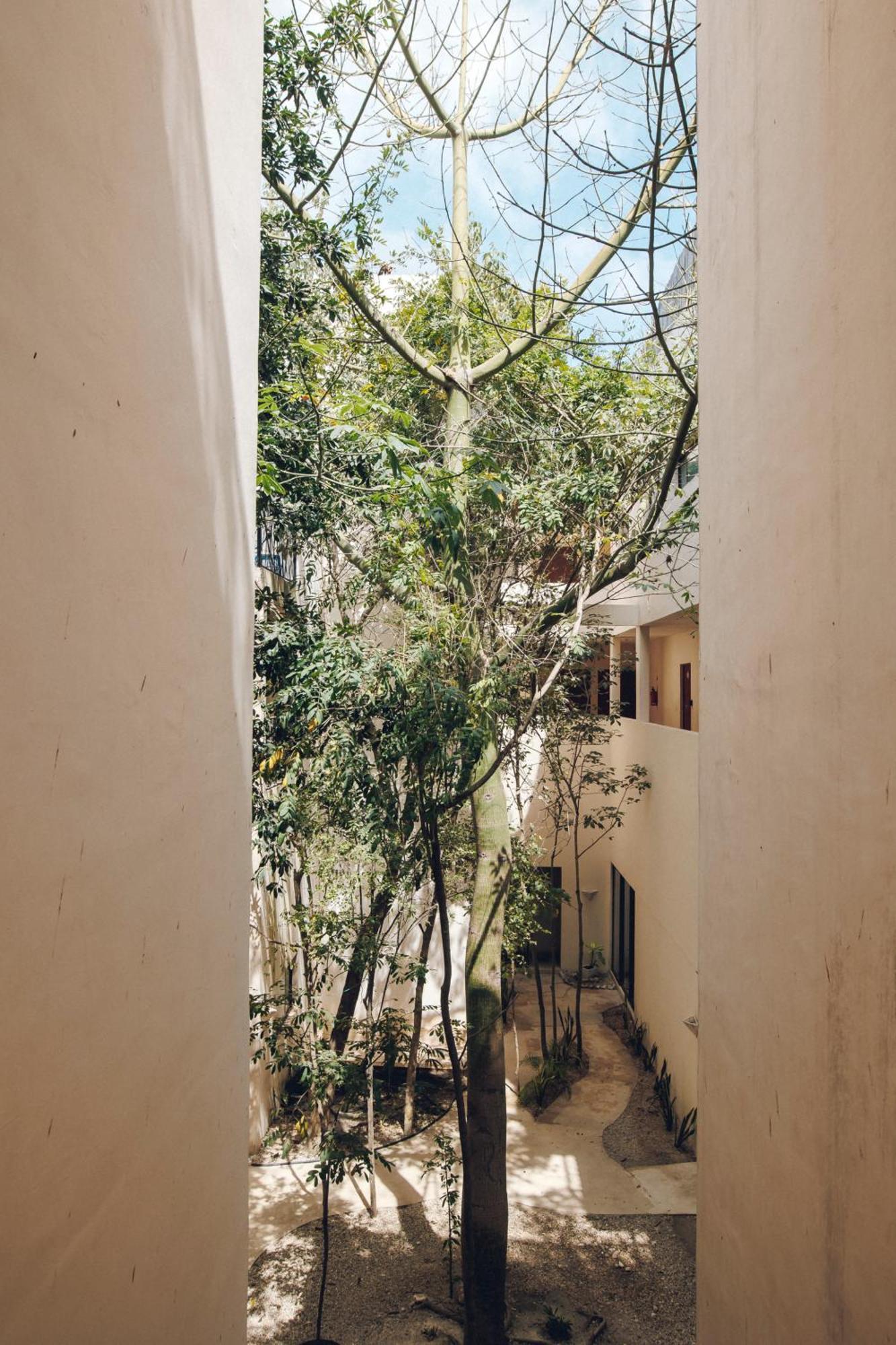 2 Bikes Free Exlusive Building Close To The Sea トゥルム エクステリア 写真